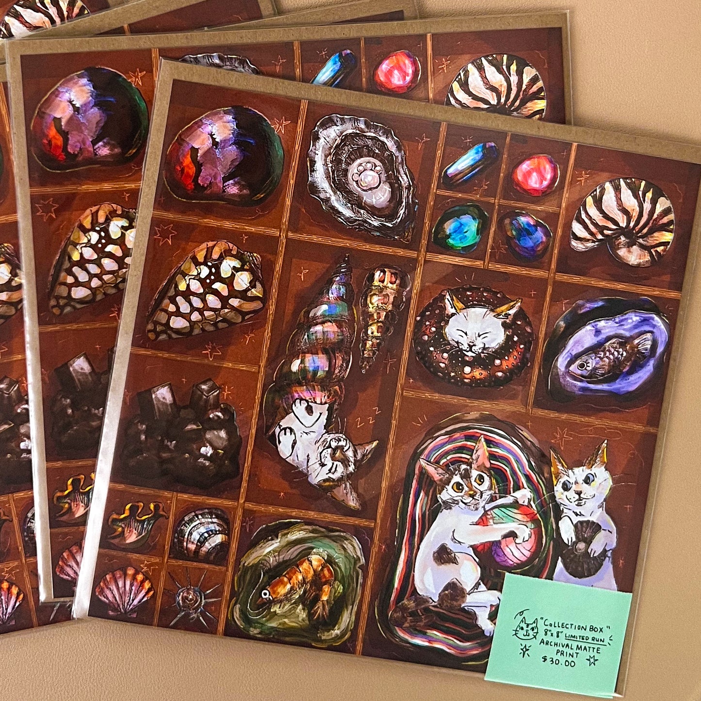 Collection Box - Comfort in Compartments Print ✸Limited Quantity✸